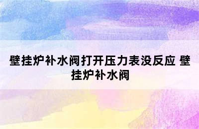 壁挂炉补水阀打开压力表没反应 壁挂炉补水阀